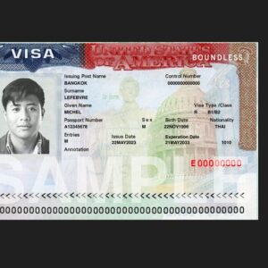 30 minute consultation for US or Schengen Visa